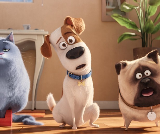 De geheimen van je huisdier