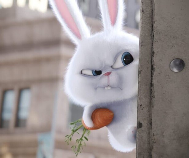 De geheimen van je huisdier komen uit in animatiefilm The Secret Life of Pets