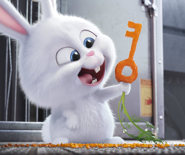 Onze huisdieren beleven allerlei avonturen in The Secret Life of Pets