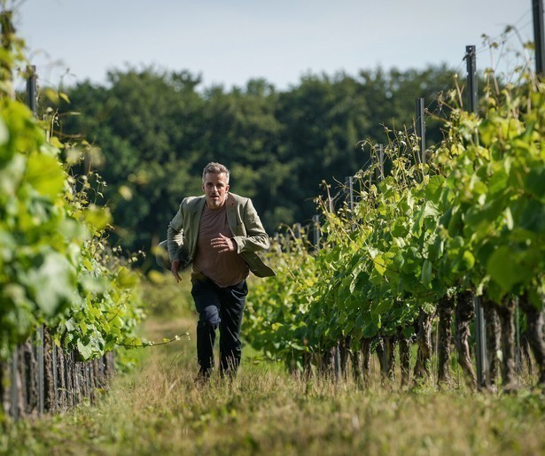 Dan Sommerdahl moet aan de slag in een wijnmakerij in nieuw seizoen The Sommerdahl Murders