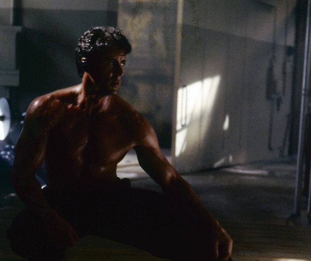 Sharon Stone vraagt hulp aan Sylvester Stallone in The Specialist