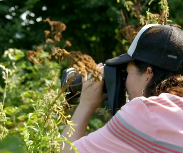 Kandidaten van Het Perfecte Plaatje staan vooraan bij Kensington