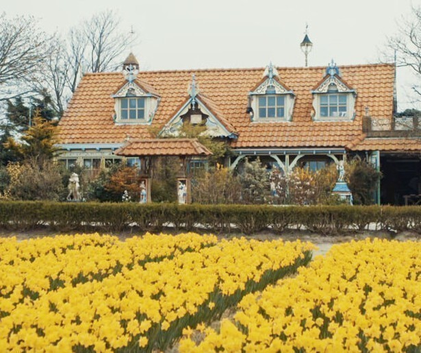 De Bollenstreek maakt Nederland net wat kleurrijker