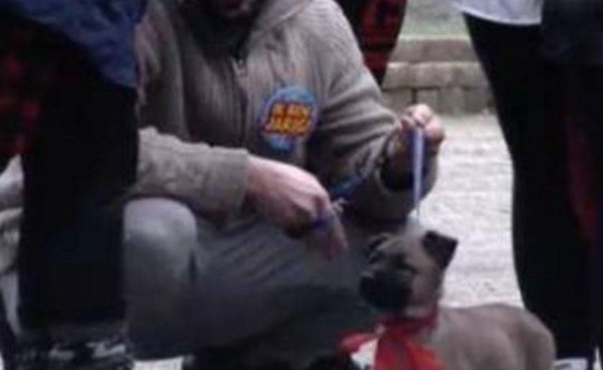 Kijkers woedend op Utopiaan Ivan na trappen pup Arthur Kijkers woedend op Utopiaan Ivan na trappen pup Arthur