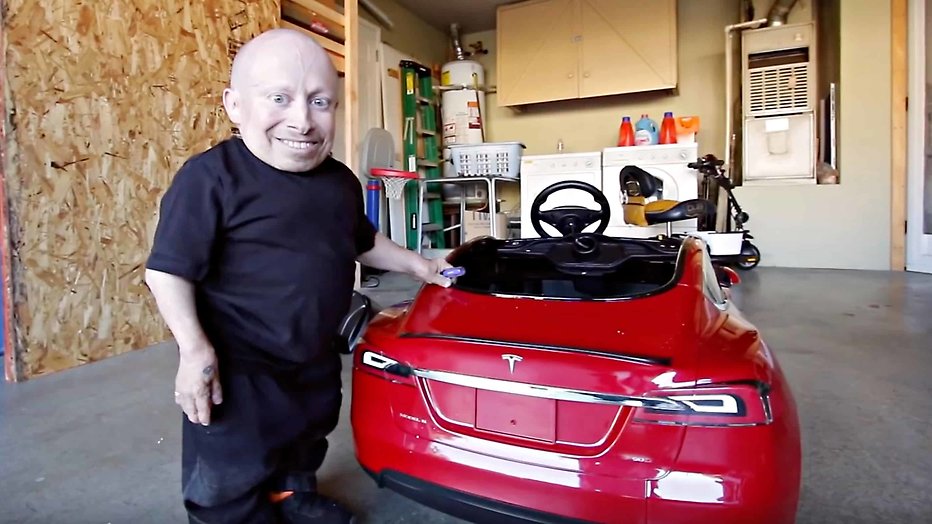 Amerikaanse acteur Verne Troyer (49) overleden