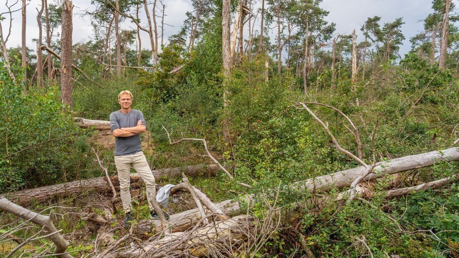 Menno Bentveld voor Vroege Vogels