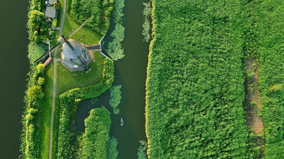 Vroege Vogels Presenteert: Hooiland