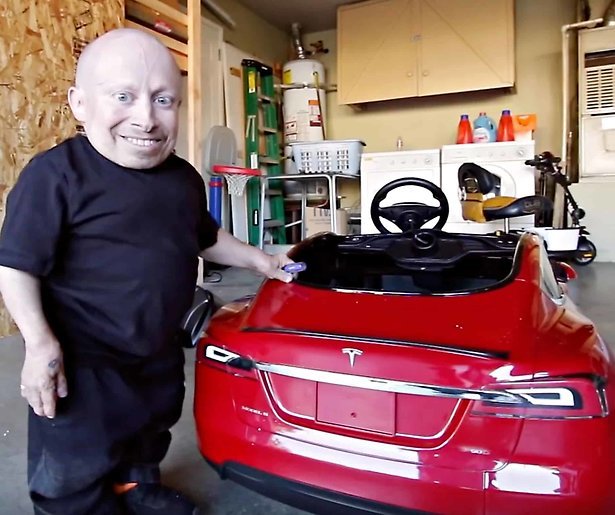 Amerikaanse acteur Verne Troyer (49) overleden