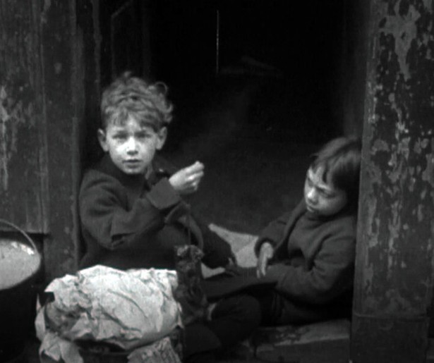 De opmars van de tuinstad in Van Krot tot Vinex: 100 Jaar Wonen