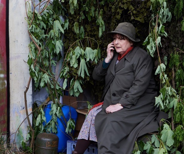 Rechercheur Vera Stanhope moet een bijzondere moord op een veteraan onderzoeken
