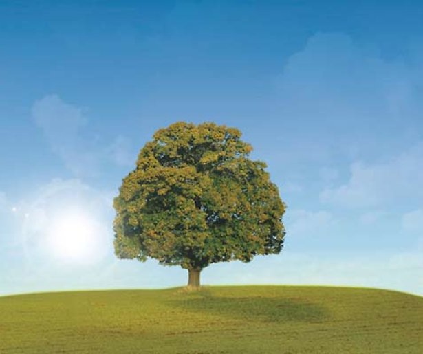 Verborgen verleden met Georgina Verbaan 