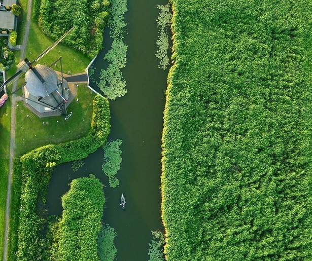 De Binnenveldse Hooilanden in de spotlights in Vroege Vogels Presenteert: Hooiland