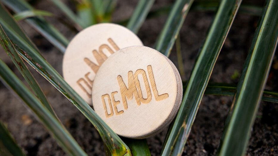 De bekende jokers van Wie Is de Mol?.