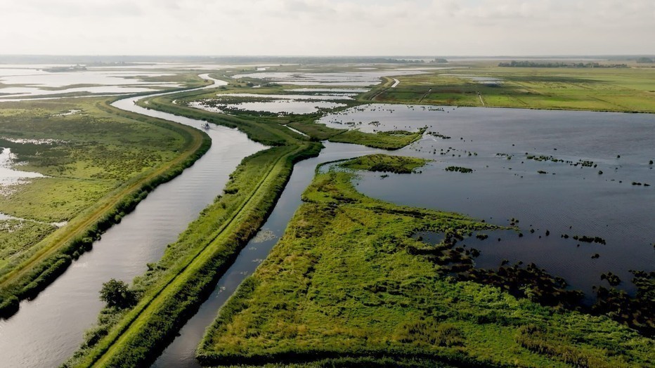 Wildernis onder water