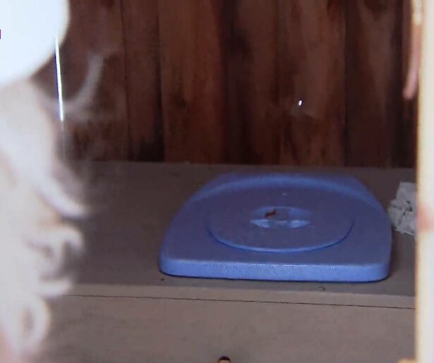 Kijkers Winter Vol Liefde raken niet uitgepraat over Zweedse poepdoos