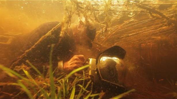 Mens en natuur in Wildernis onder water