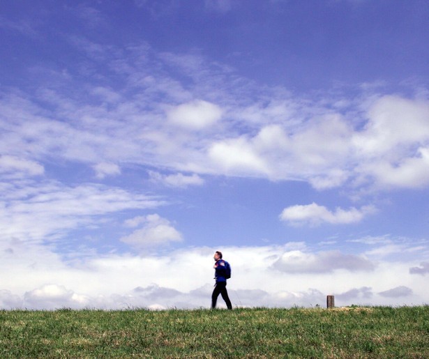 Op zoek naar gladiolen