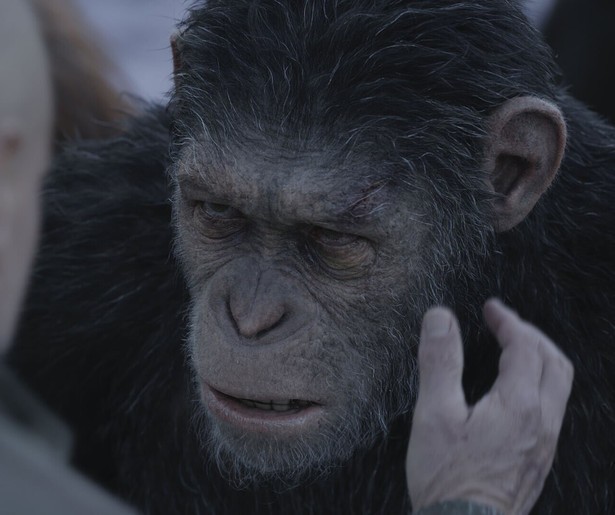 Het komt tot de ultieme confrontatie tussen de apen de mensen in War for the Planet of the Apes