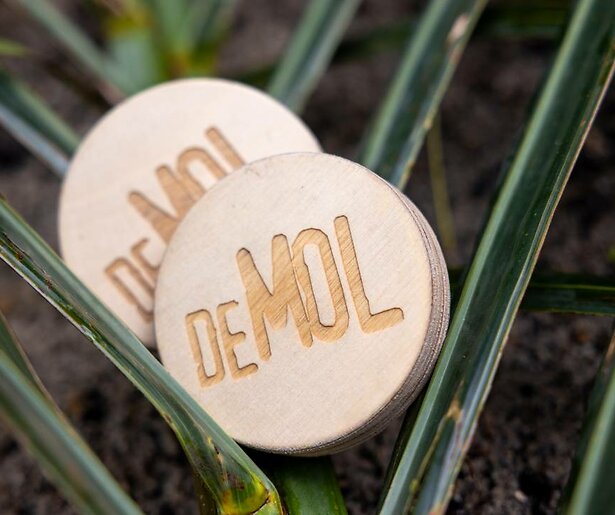 Tina Nijkamp: ''Wie Is de Mol? start niet in september