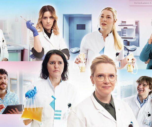 Wie is wie in de nieuwe komische dramaserie De Poli?