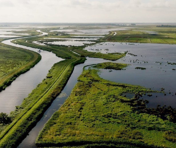 Derde seizoen van de natuurdocumentaireserie Wildernis onder Water van start op NPO 2