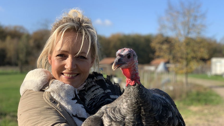 Boerenreünie onder de kerstboom