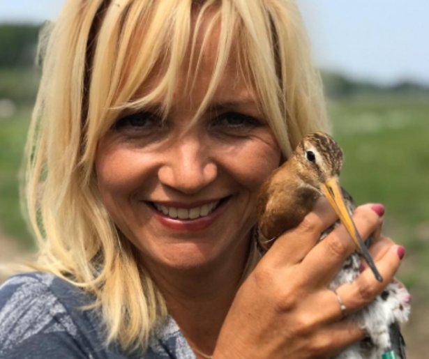 Dit waren de TV-dieptepunten van 2019