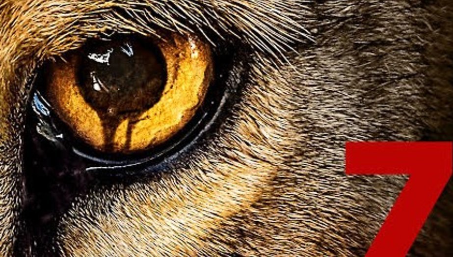 SBS 6 programmeert hitserie Zoo