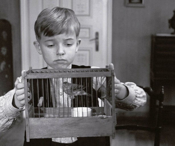 De kinderen van Stetten
