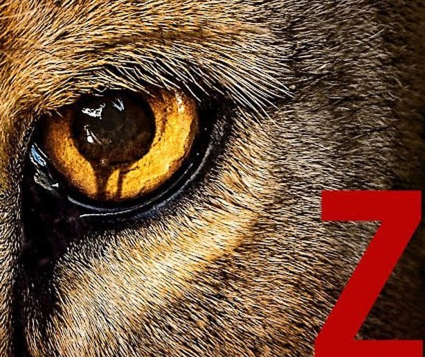 SBS 6 programmeert hitserie Zoo